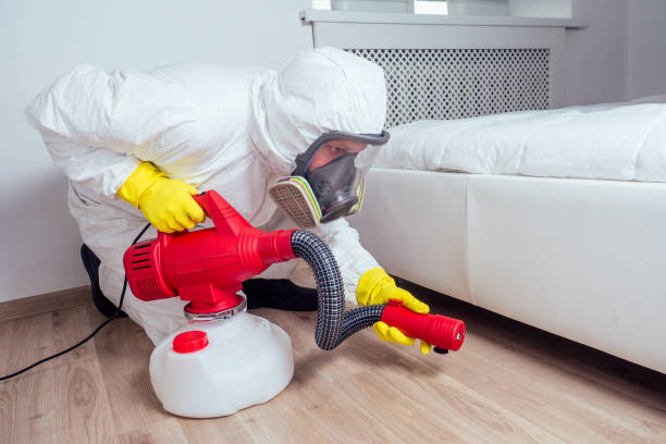 Wasp Removal Services in Riverside, AL