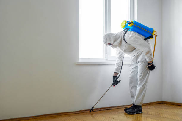 Best Exterminator Services  in Riverside, AL