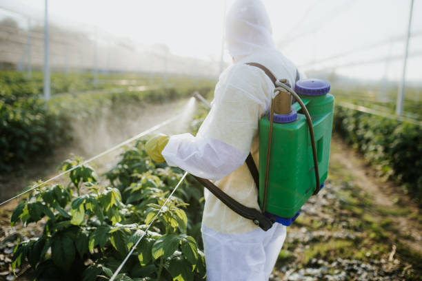  Riverside, AL Pest Control Pros